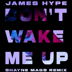 DON'T WAKE ME UP (SHAYNE MAGS EXTENDED REMIX) AFRO MELODIC HOUSE
