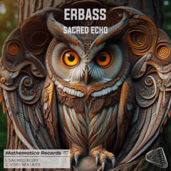 ERBass - Void Walker