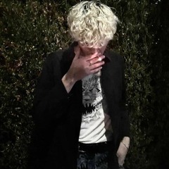stray (prod. frevel & 5head)