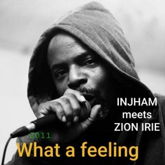 WHAT A FEELING - INJHAM meets Zion IRIE