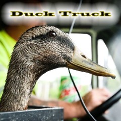 Duck Truck