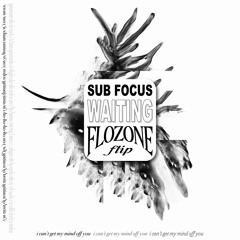 sub focus - waiting (flozone flip)