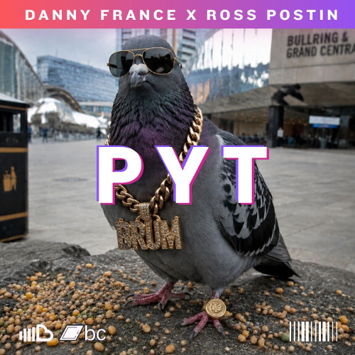 Danny France & Ross Postin - PYT (FREE DOWNLOAD)