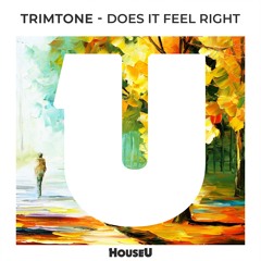 Trimtone - Does It Feel Right