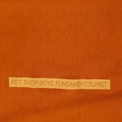 The Pet Shop Boys Mixes