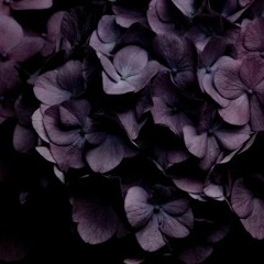 I hate it that you're always right