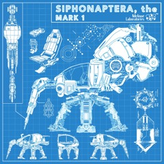 Siphonaptera, The