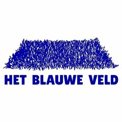 Het Blauwe Veld x Rizoom #10: Arto van Dongen en Mike Moonen