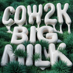 BIG MILK - COW2K