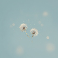 Martin Madia - Deep Memories