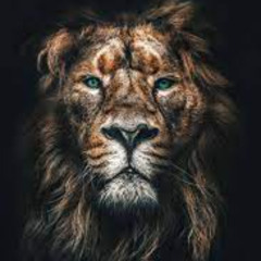 John Lion - Zomermixtape 3