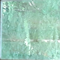Through The Fog And Through The Thicket - Luke Thomas Arnold-Free Download