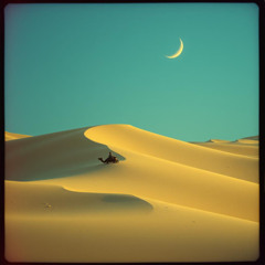 خَلِيْلَيَّ لَيْلَى قُرَّةُ الْعَيْن | قيس بن الملوح
