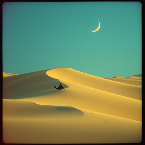 خَلِيْلَيَّ لَيْلَى قُرَّةُ الْعَيْن | قيس بن الملوح