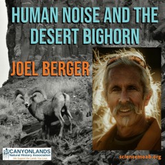 Human Noise and the Desert Bighorn