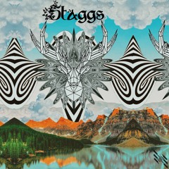 Staggs - Meddling With The Paradigm