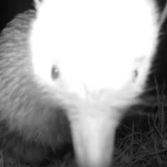 All of The Blasting Company