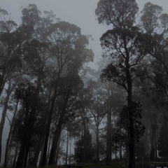 THROW UP! Prod: purc