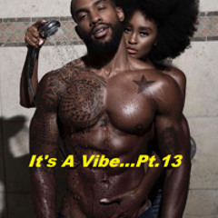 It'z A Vibe...Vol.13 (Adult Situations)
