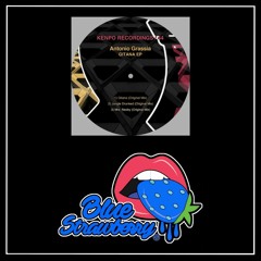 Antonio Grassia - Mrs. Nesby (Original Mix)