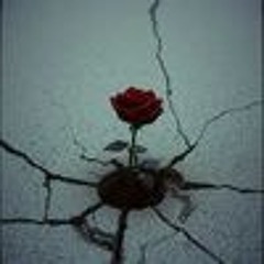 So Hard to Please (2025)