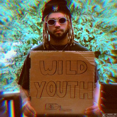 the wild youth