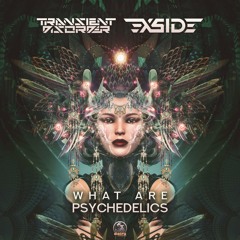 Transient Disorder & X-Side - What Are Psychedelics (Out Soon Dacru records )