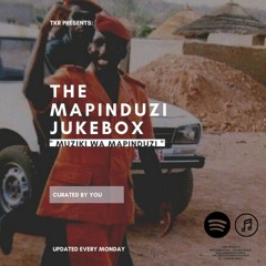 The Mapinduzi Jukebox: Riot Music