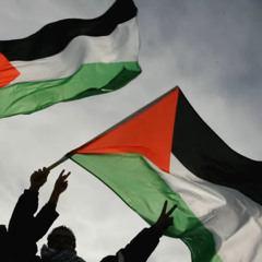 🇵🇸