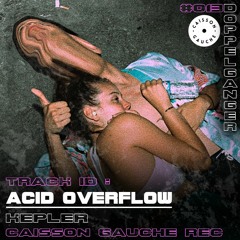 Kepler - Acid Overflow
