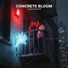 Concrete Bloom