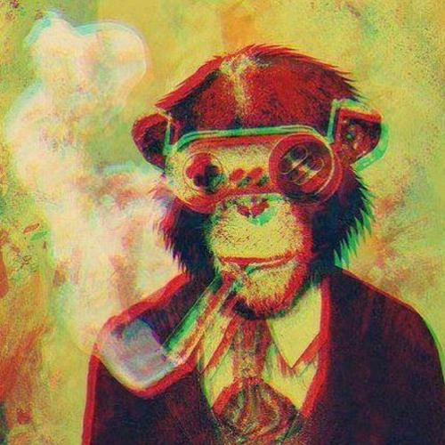 Akidhouse (confinement cut)