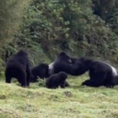 Sunday Ecstatic Dance w/ Joya & Leela @ Odessa 10-03-24