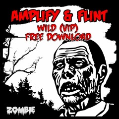 AMPLIFY & FLINT - WILD (VIP) FREE DOWNLOAD!