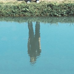 i wont regret you w/ xy softshade