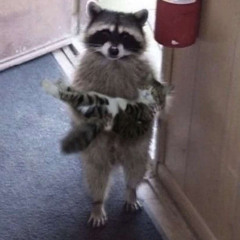 godzilla vs king kong erb