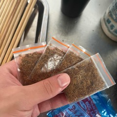 Ngủ Ngon Nhé Vợ Tương Lai - TrAnh Sơn vietmix 2023