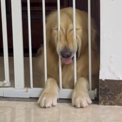 De Grandi - 22 Octobre 2025