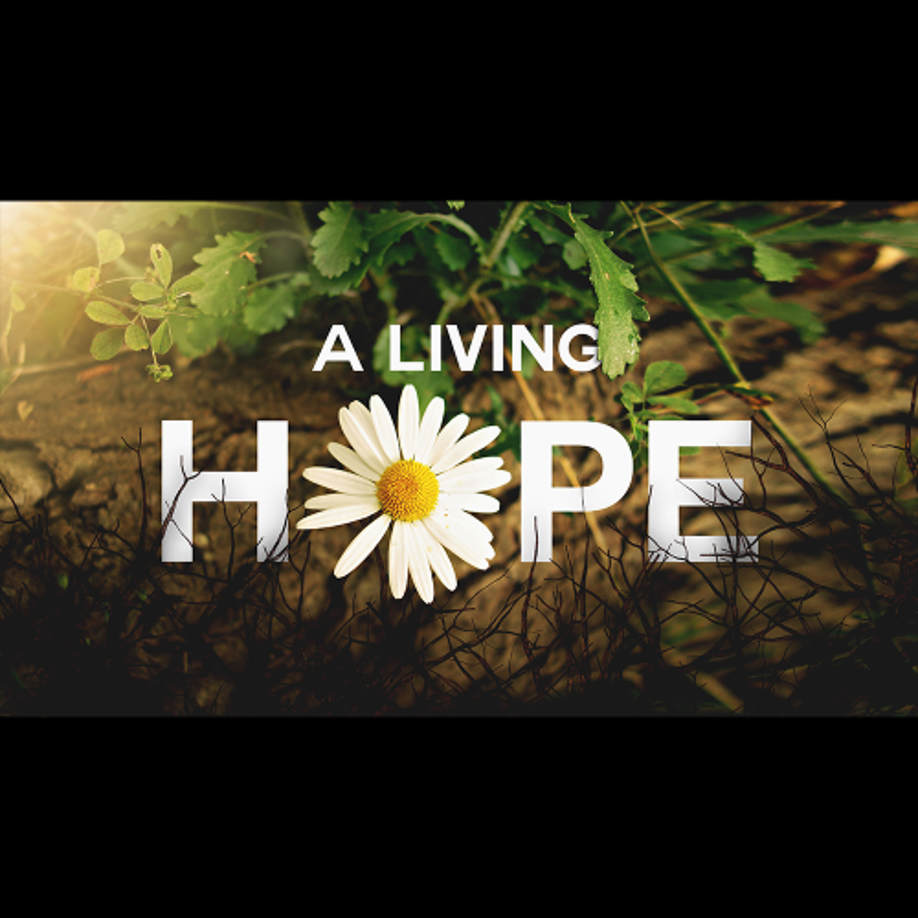Easter 2025: He is Risen: The Triumph of Christ for His People episode artwork