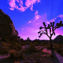 Mojave (Intro The Groove)