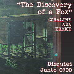 The Discovery of a Fox (disquiet0700)