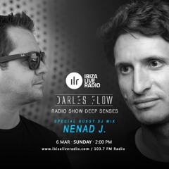 Nenad J. - Deep Senses Radio Show on www.ibizaliveradio.com (06.03.2022)