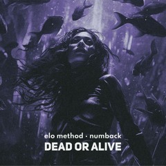 Numback, Elo Method - Dead Or Alive