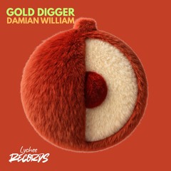 Damian William – Gold Digger (Preview) [Lychee Records - Release 26.12]