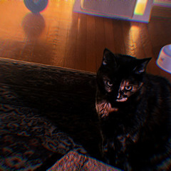 Mint Loon and Coffee