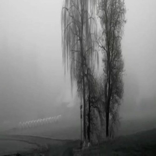 endure (Desc)