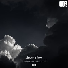 Joaquín Gliese - Trautoniums Schuler (Original Mix)