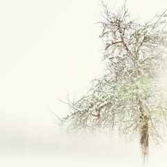 FLOCONS