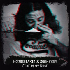 Bitches & Ho's (Noizebreaker & Sonnyboy Bootleg)