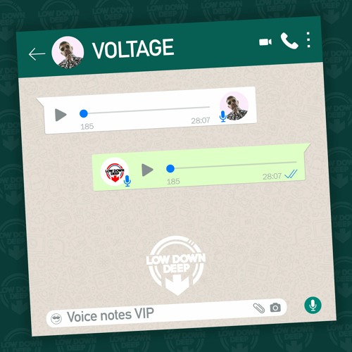 VOLTAGE - VOICE NOTES VIP